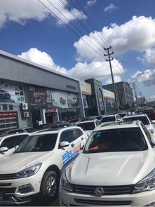 台州腾晟汉腾汽车仙居漂流自驾游圆满