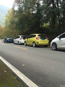 台州三飞车友会首聚盛况 以车会友，精彩纷呈